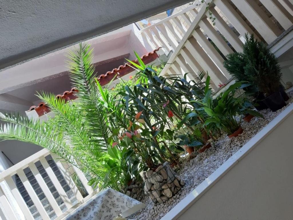 Apartments Duće المظهر الخارجي الصورة